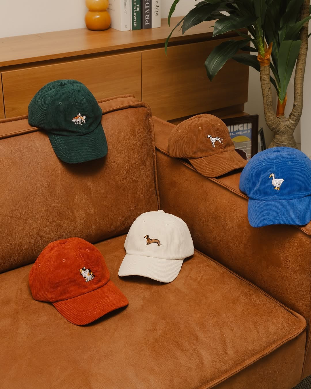 Classy Club: Tuxedo Cat Cap